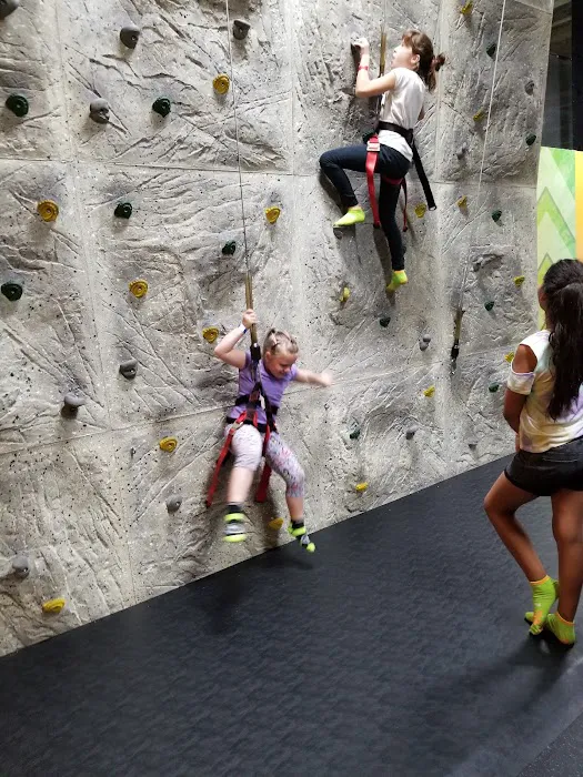 Sky Zone Trampoline Park Picture 5