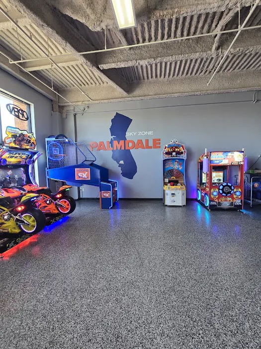 Sky Zone Trampoline Park Picture 9