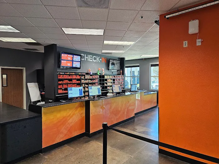 Sky Zone Trampoline Park Picture 10