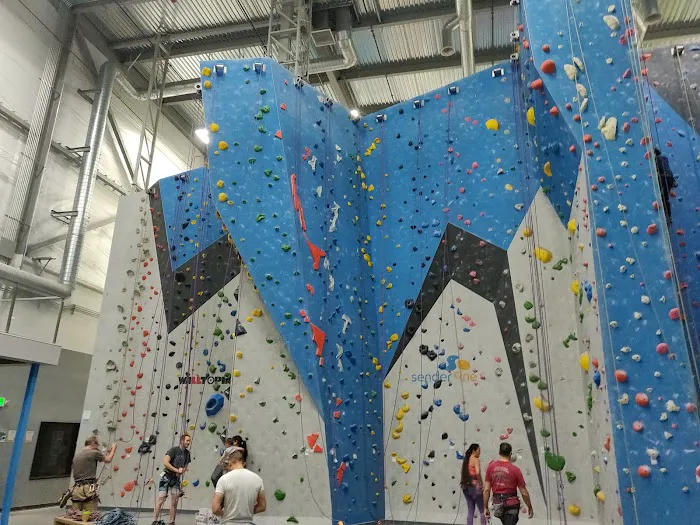 Sender One Climbing & Sender City - Santa Ana Picture 3