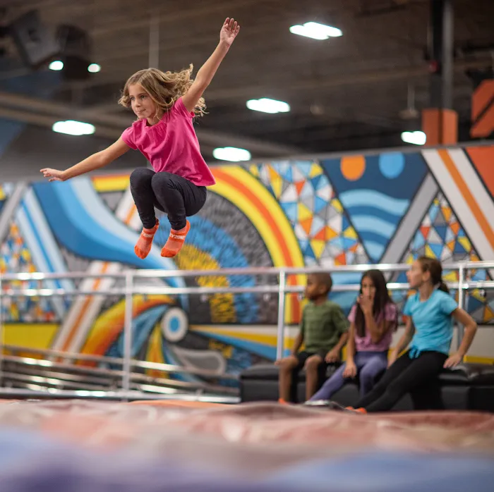 Sky Zone Trampoline Park Picture 3