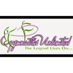 Gymnastics Unlimited