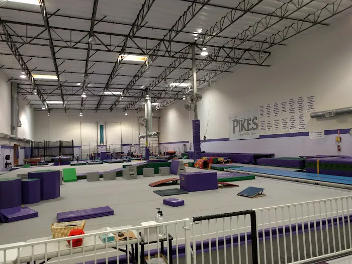 Gymnastics Unlimited Picture 4