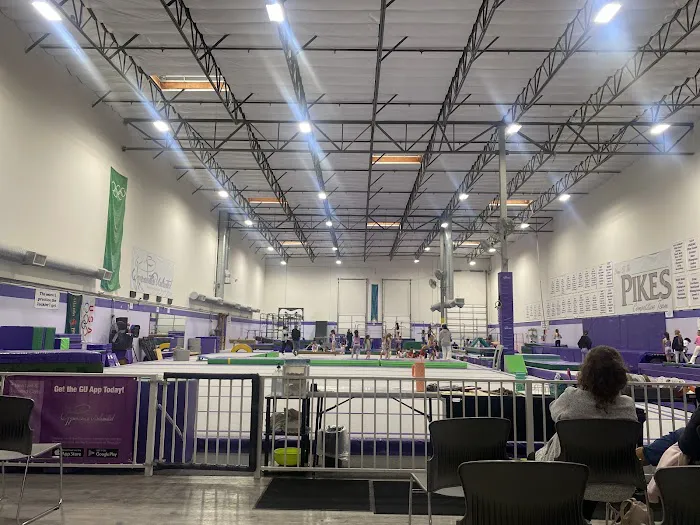 Gymnastics Unlimited Picture 6