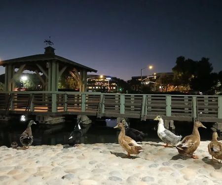 Riverwalk Center