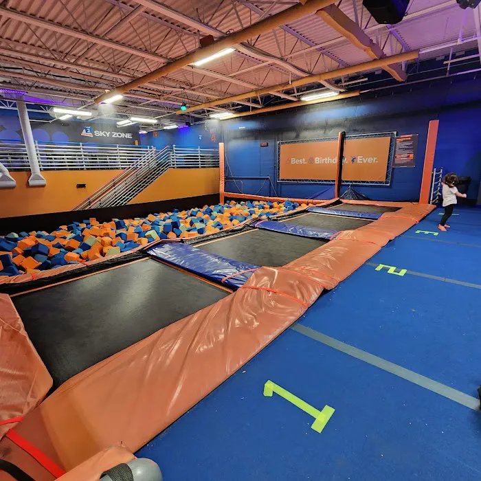 Sky Zone Trampoline Park Picture 5