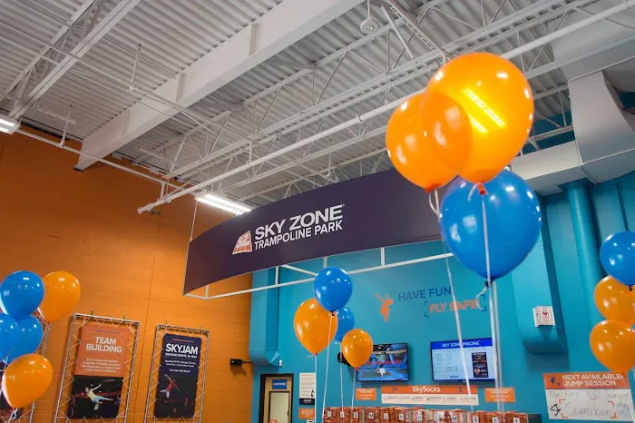 Sky Zone Trampoline Park Picture 6
