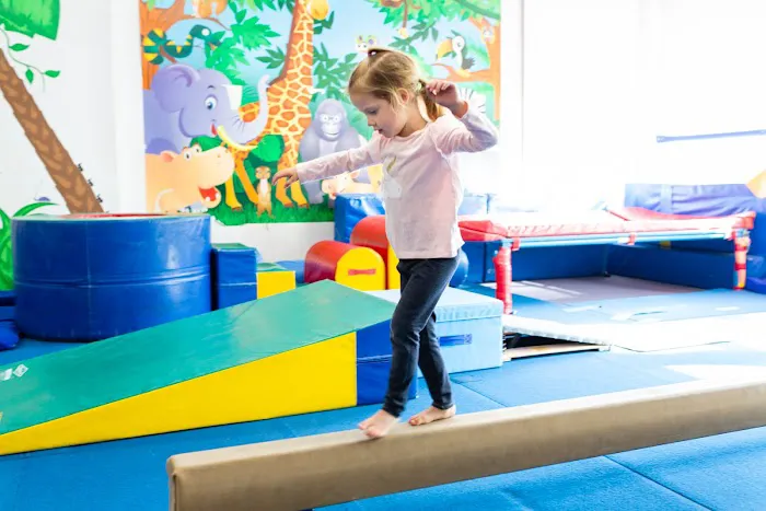 National Gymnastics Training Center Picture 7