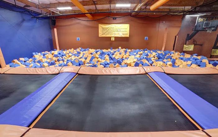 Sky Zone Trampoline Park Picture 3
