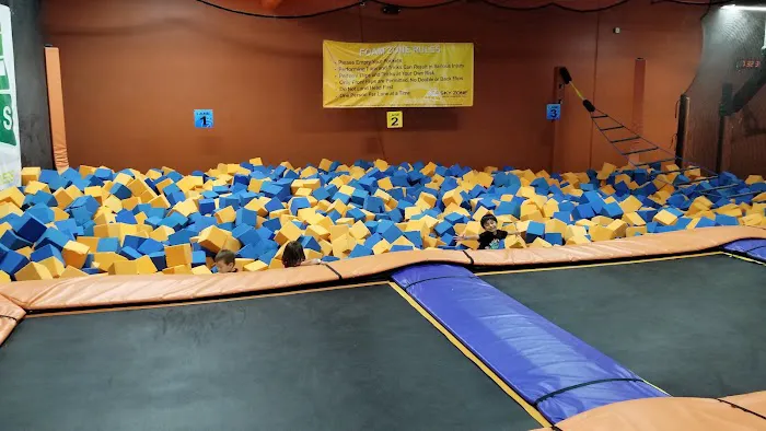 Sky Zone Trampoline Park Picture 7