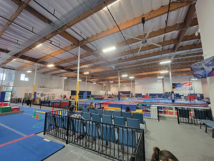 Agility Kids Picture 6