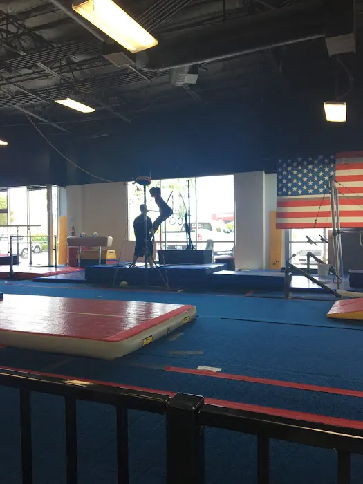 Agility Kids Picture 7