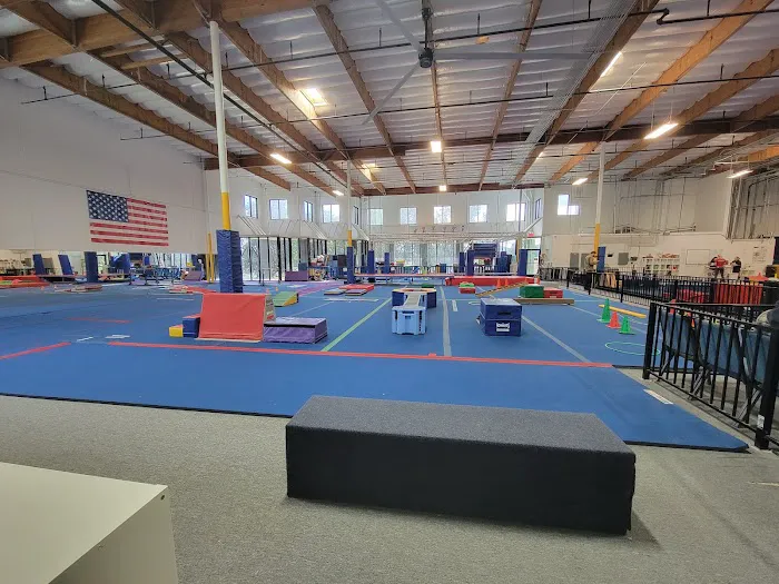 Agility Kids Picture 9