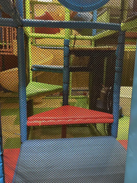 Baby Hop Playground Picture 7