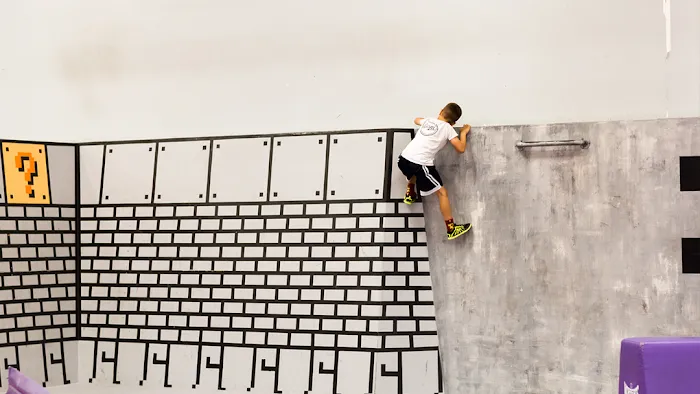 Tempest Freerunning Academy North County Picture 10