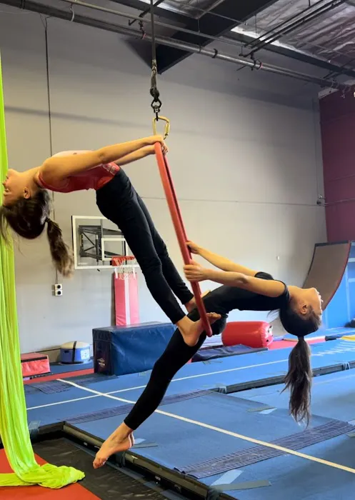Momentum Acrobatics Picture 3