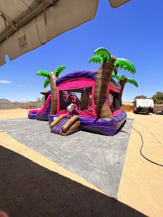 Big AZ Inflatables Picture 8