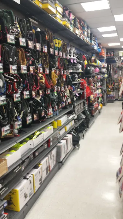 Big 5 Sporting Goods Picture 9