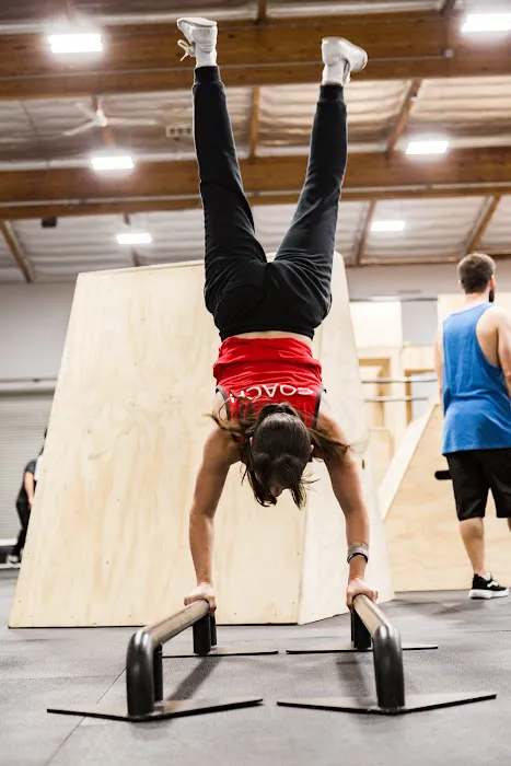 Rogue Parkour Gym Picture 4