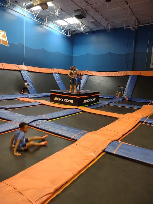 Sky Zone Trampoline Park Picture 4