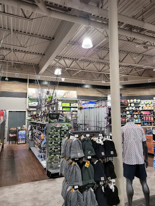 DICK'S Sporting Goods Picture 2