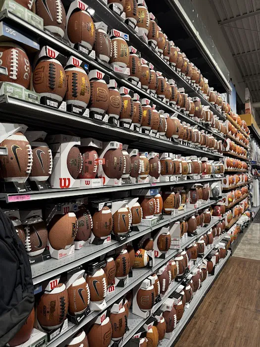 DICK'S Sporting Goods Picture 8