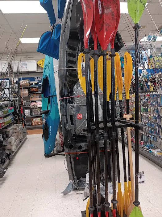 Big 5 Sporting Goods Picture 8