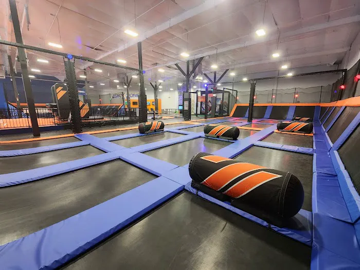 Sky Zone Trampoline Park Picture 8