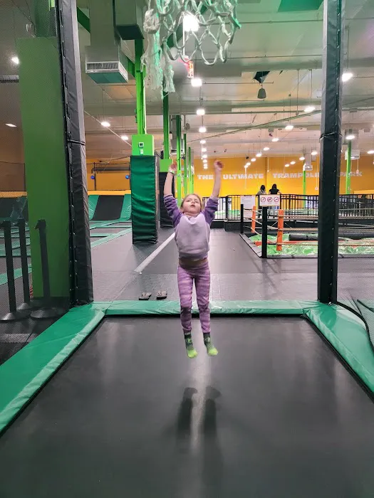 Sky Zone Trampoline Park Picture 1