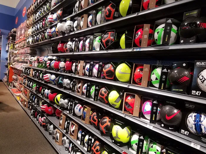 DICK'S Sporting Goods Picture 3
