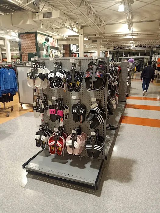 DICK'S Sporting Goods Picture 5