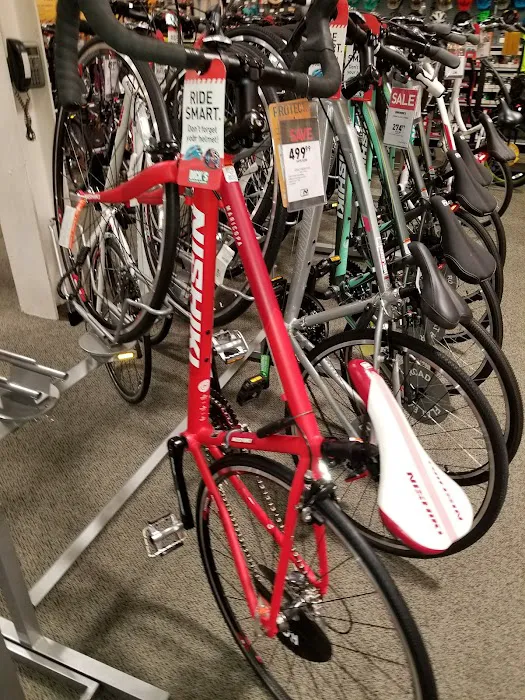 DICK'S Sporting Goods Picture 9