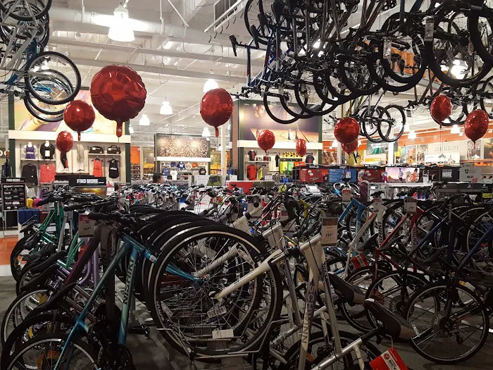 DICK'S Sporting Goods Picture 4