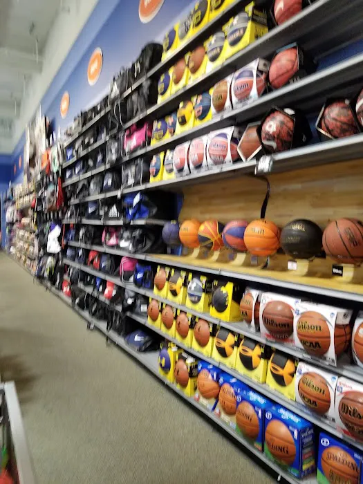 DICK'S Sporting Goods Picture 9