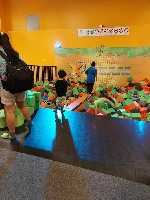 Sky Zone Trampoline Park Picture 6