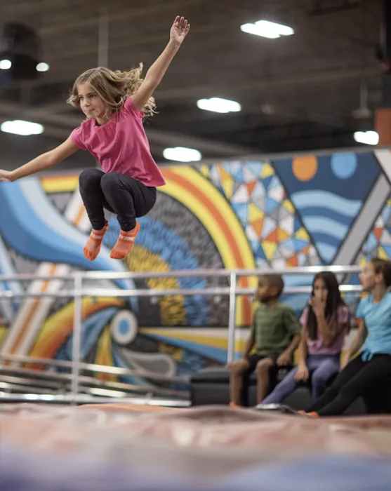 Sky Zone Trampoline Park Picture 8