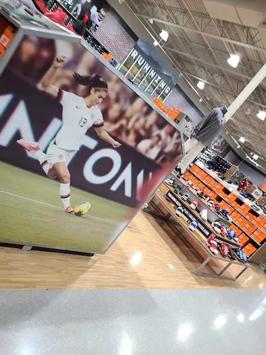 DICK'S Sporting Goods Picture 4