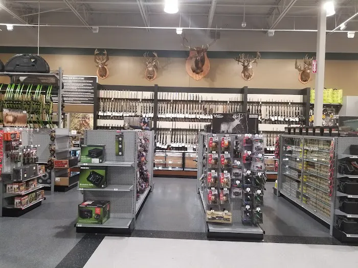 DICK'S Sporting Goods Picture 3