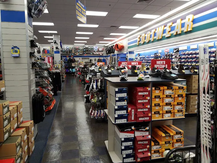 Big 5 Sporting Goods Picture 5