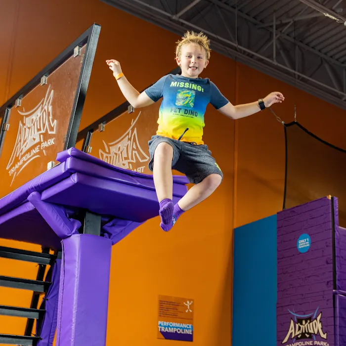 Altitude Trampoline Park Picture 9