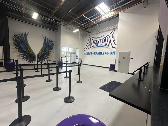 Altitude Trampoline Park Picture 10