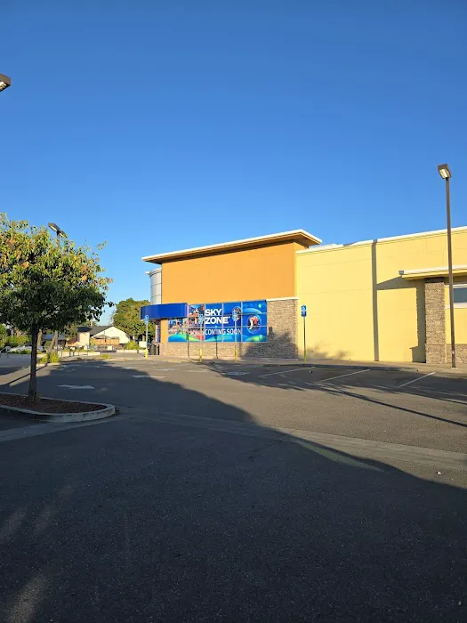 Sky Zone Trampoline Park Picture 7