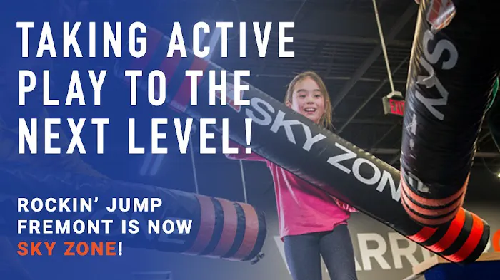 Sky Zone Trampoline Park Picture 4