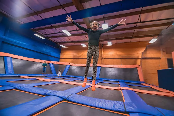 Sky Zone Trampoline Park Picture 7