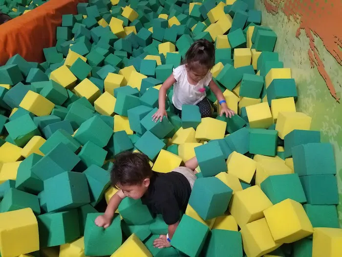 Sky Zone Trampoline Park Picture 4