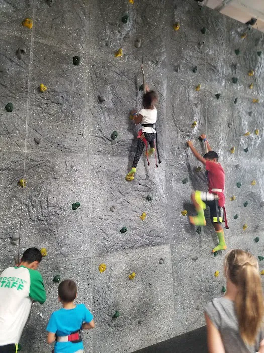 Sky Zone Trampoline Park Picture 3