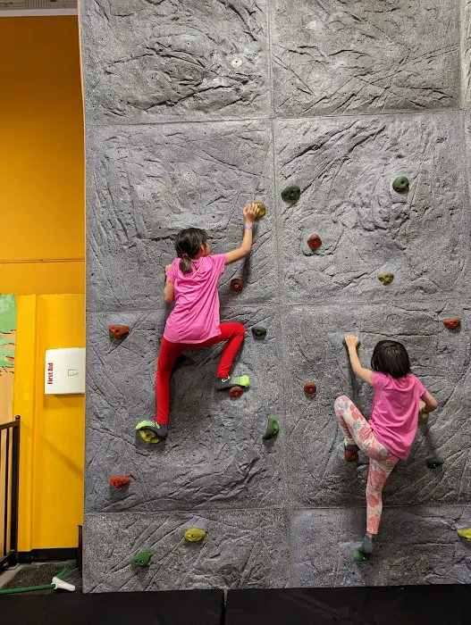 Sky Zone Trampoline Park Picture 4