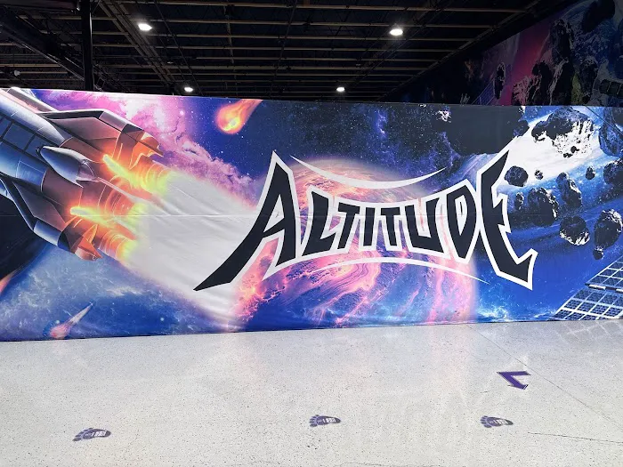 Altitude Trampoline Park Picture 5