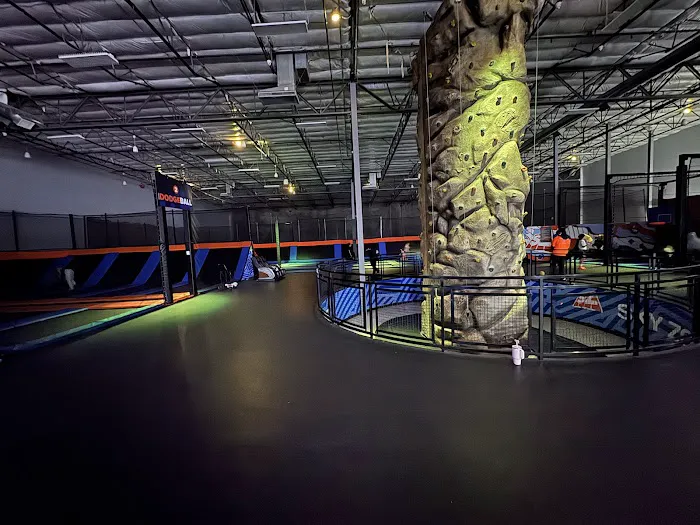 Sky Zone Trampoline Park Picture 5