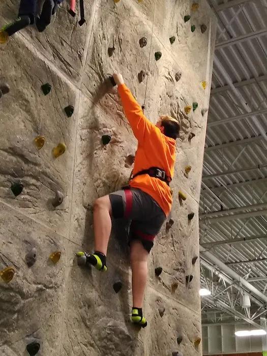 Sky Zone Trampoline Park Picture 1